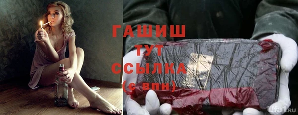 хмурый Аркадак