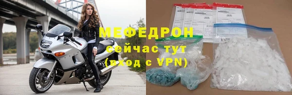 хмурый Аркадак