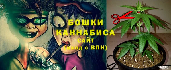 хмурый Аркадак