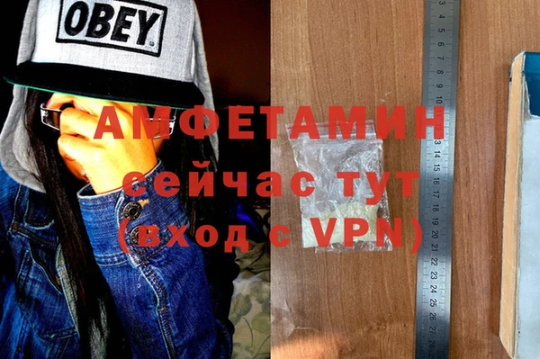 хмурый Аркадак