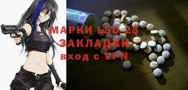 хмурый Аркадак