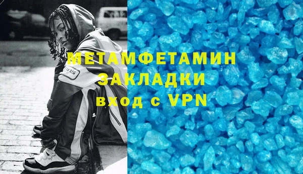 хмурый Аркадак
